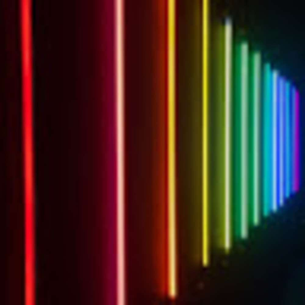 Meet your Posher, Eliza